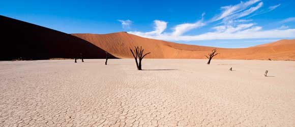 Deadvlei at Sossusvlei