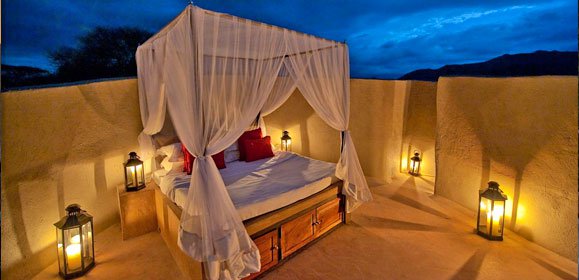Safari Star Bed