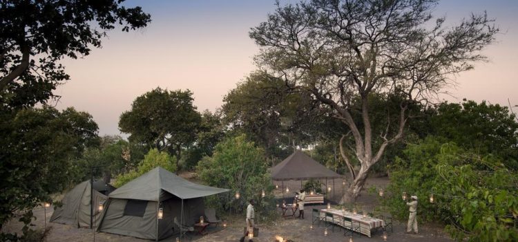Botswana Mobile Camping Experience