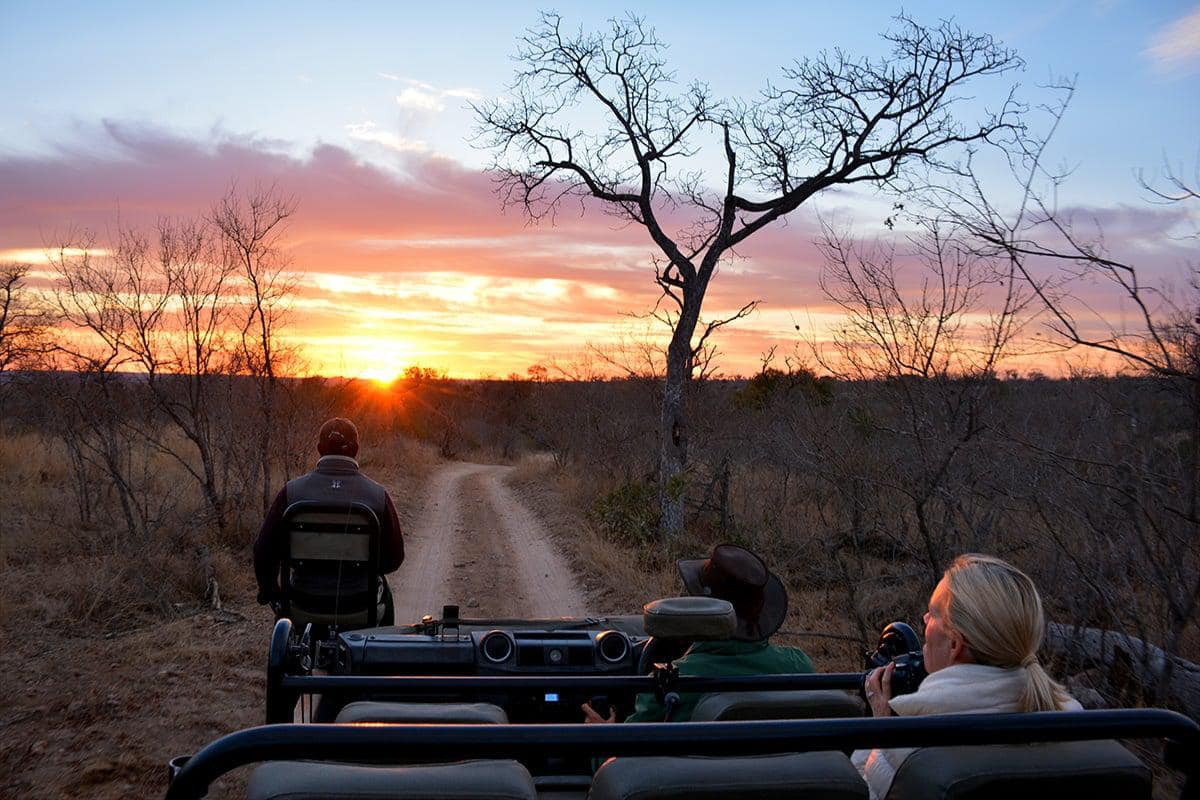 Morning game drive at Londolozi