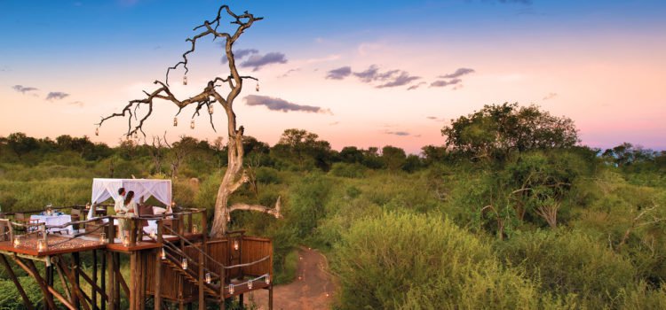 Safari Star Beds: Under African Skies