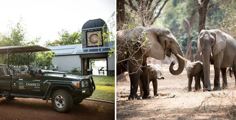 Game drive at Zambezi Grande