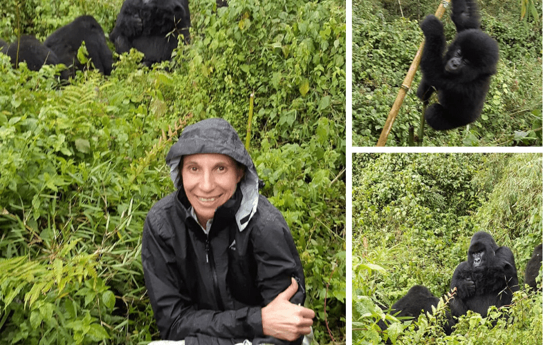 gorilla trekking