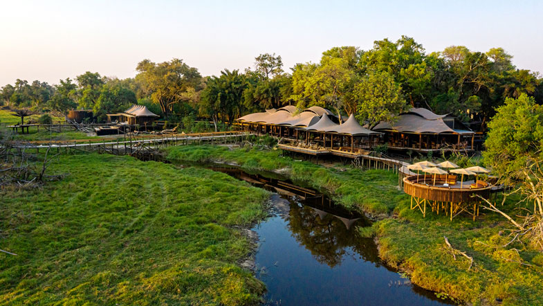 Botswana Safari