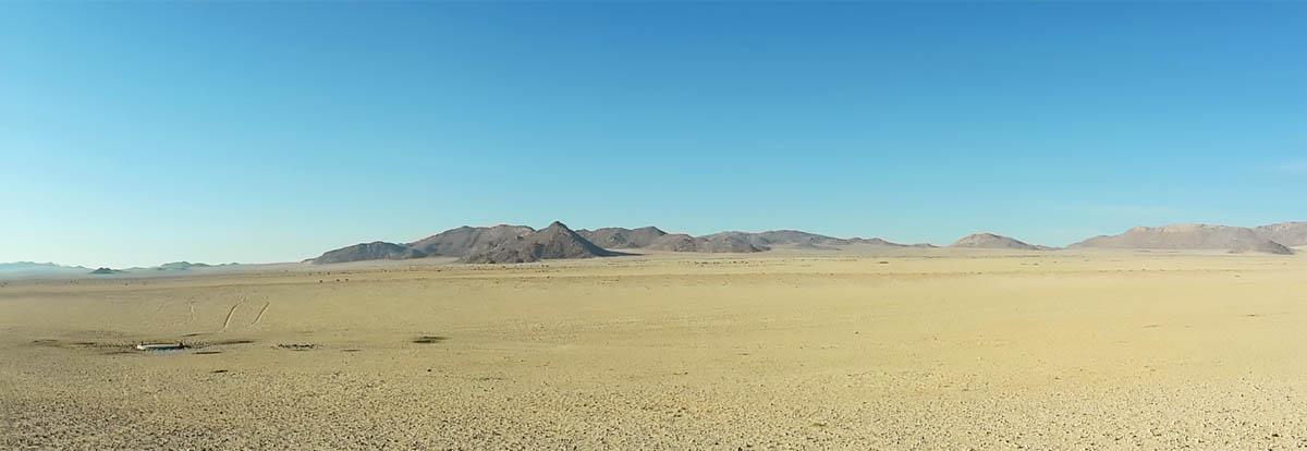 Namibia's desert horses live on the Garub Plains, near Aus.