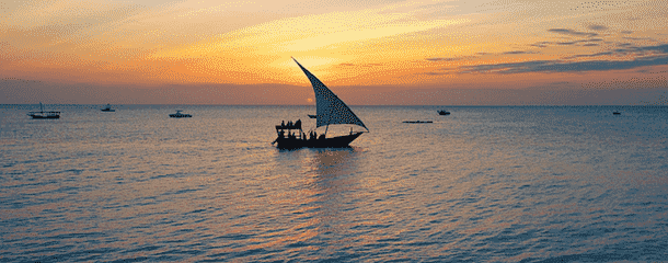 Zanzibar: A Wild Island Paradise