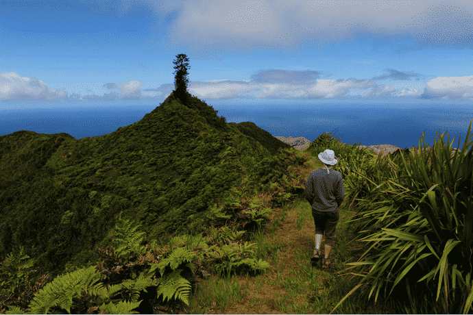 st helena hikes