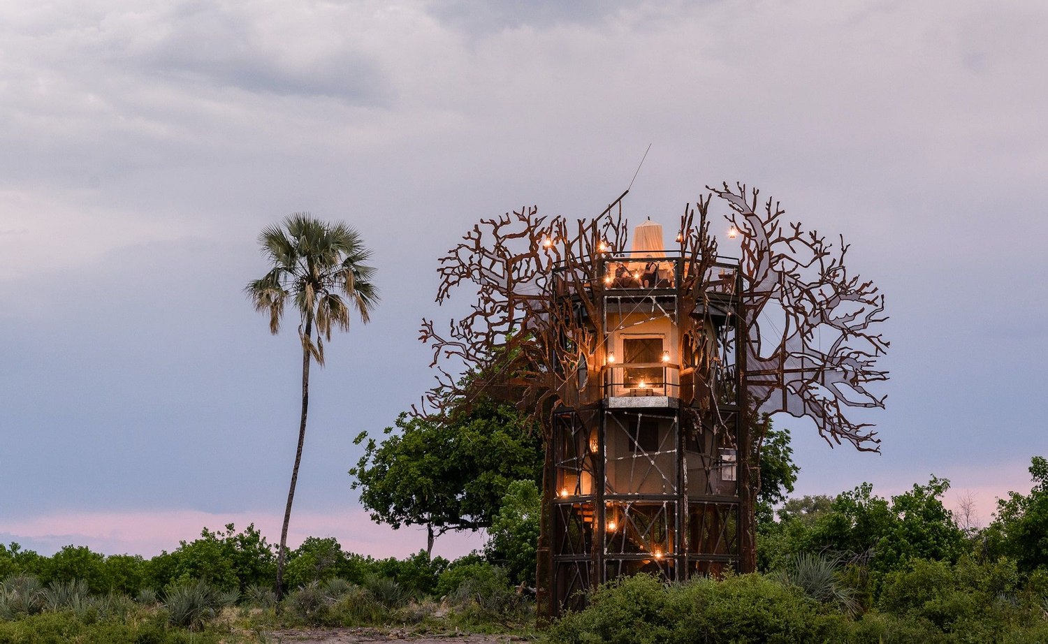 Botswana safari