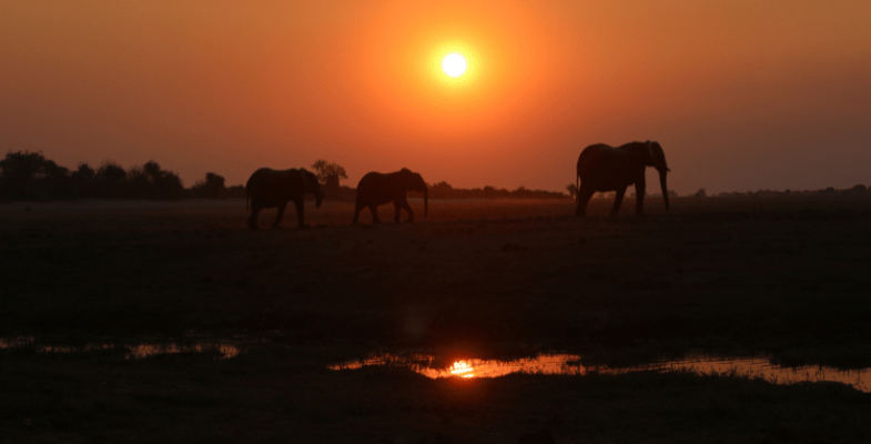 top lodges in botswana