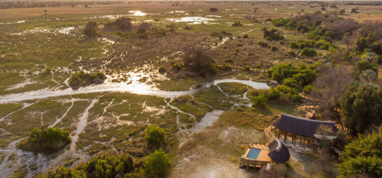 The Okavango Delta: The ultimate African wildlife adventure