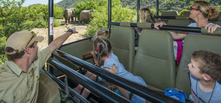 Easter family safari with the kids: Game watching is in, and screens are out