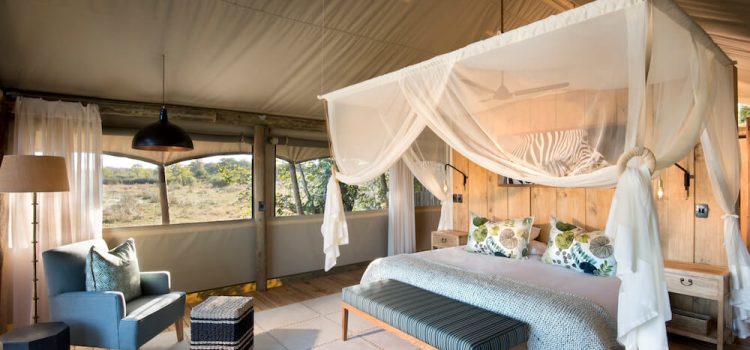 Your Guide to a Malaria-Free African Safari