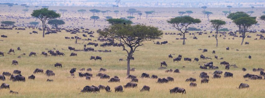Liuwa Plain National Park, Zambia