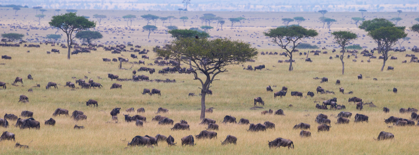 Liuwa Plain National Park, Zambia