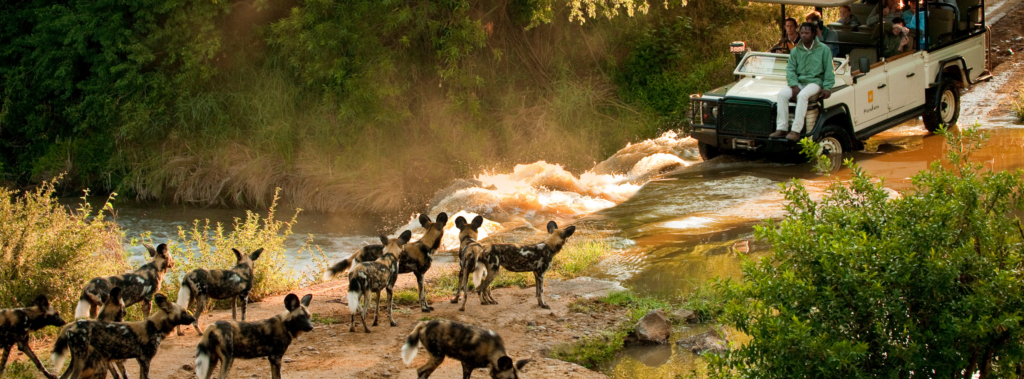 Madikwe Game Reserve, South Africa