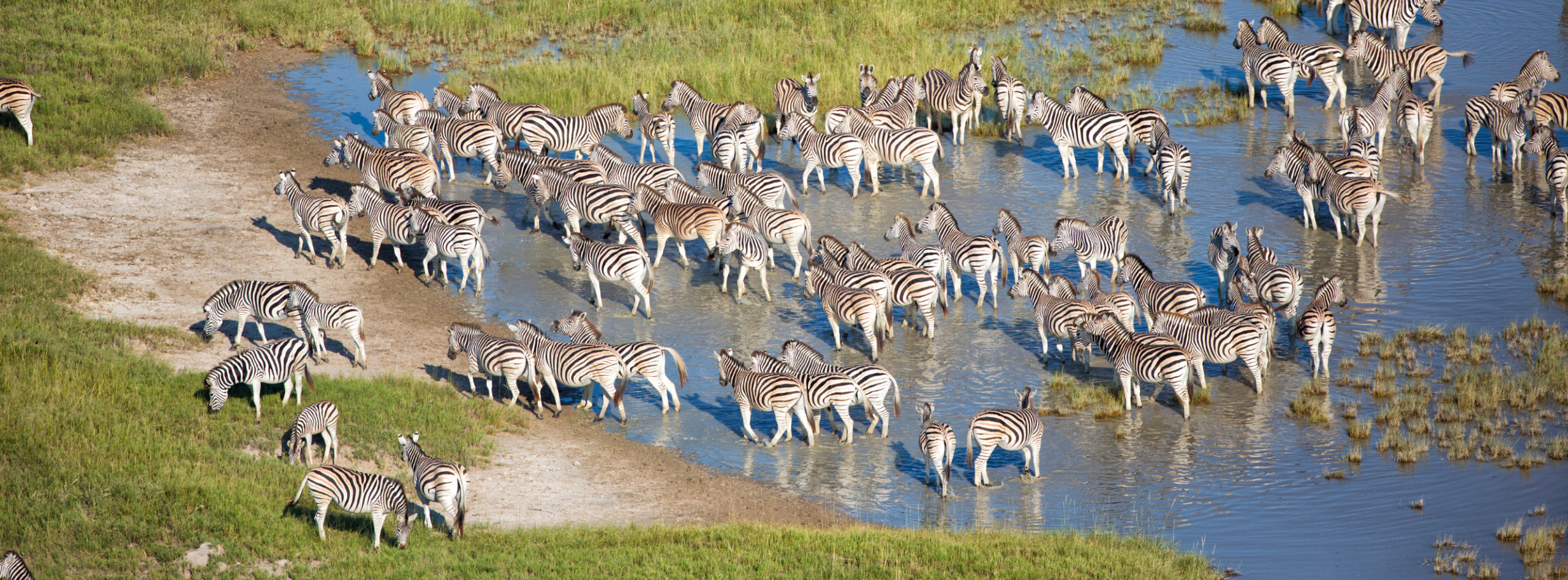 Common Myths About Africa’s Wild side (Debunked)