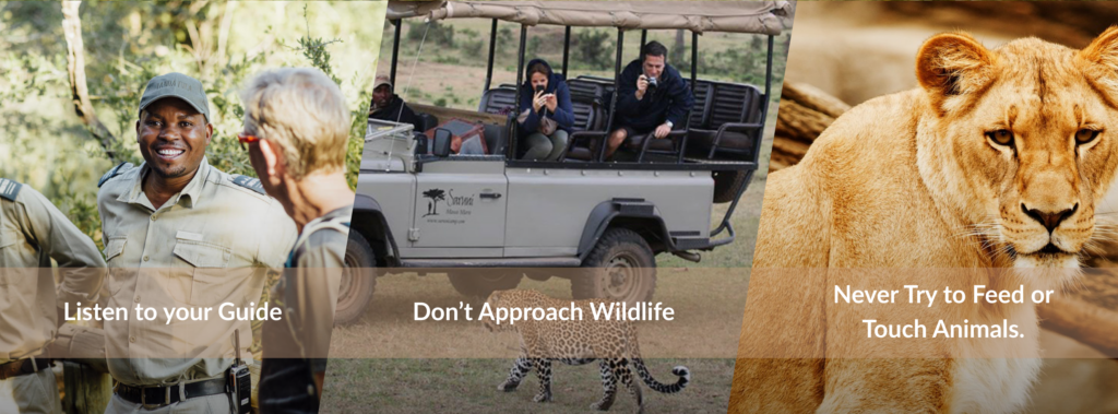 Listen to Your Guide. Don't Approach Wildlife. Never Try to Feed or Touch Animals.