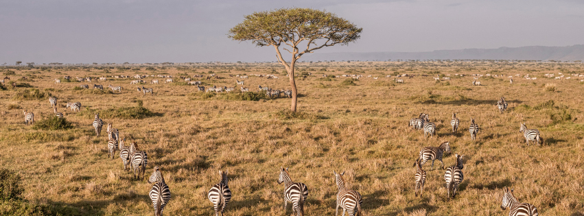 Start with the Destination (Wilderness Mara Kenya)
