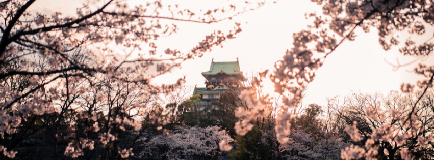 Why the Far East Is Perfect for South Africans