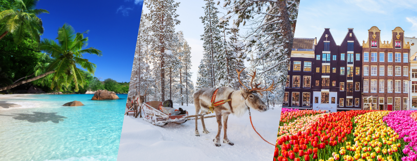 Decide What You Want the Holiday to Feel Like