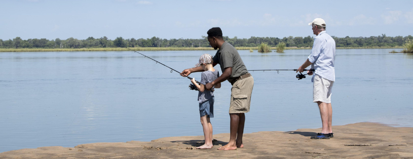 Feel the Pull of a Tigerfish